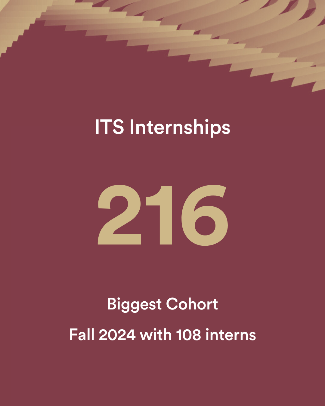 216 ITS internships, biggest cohort in Fall 2024